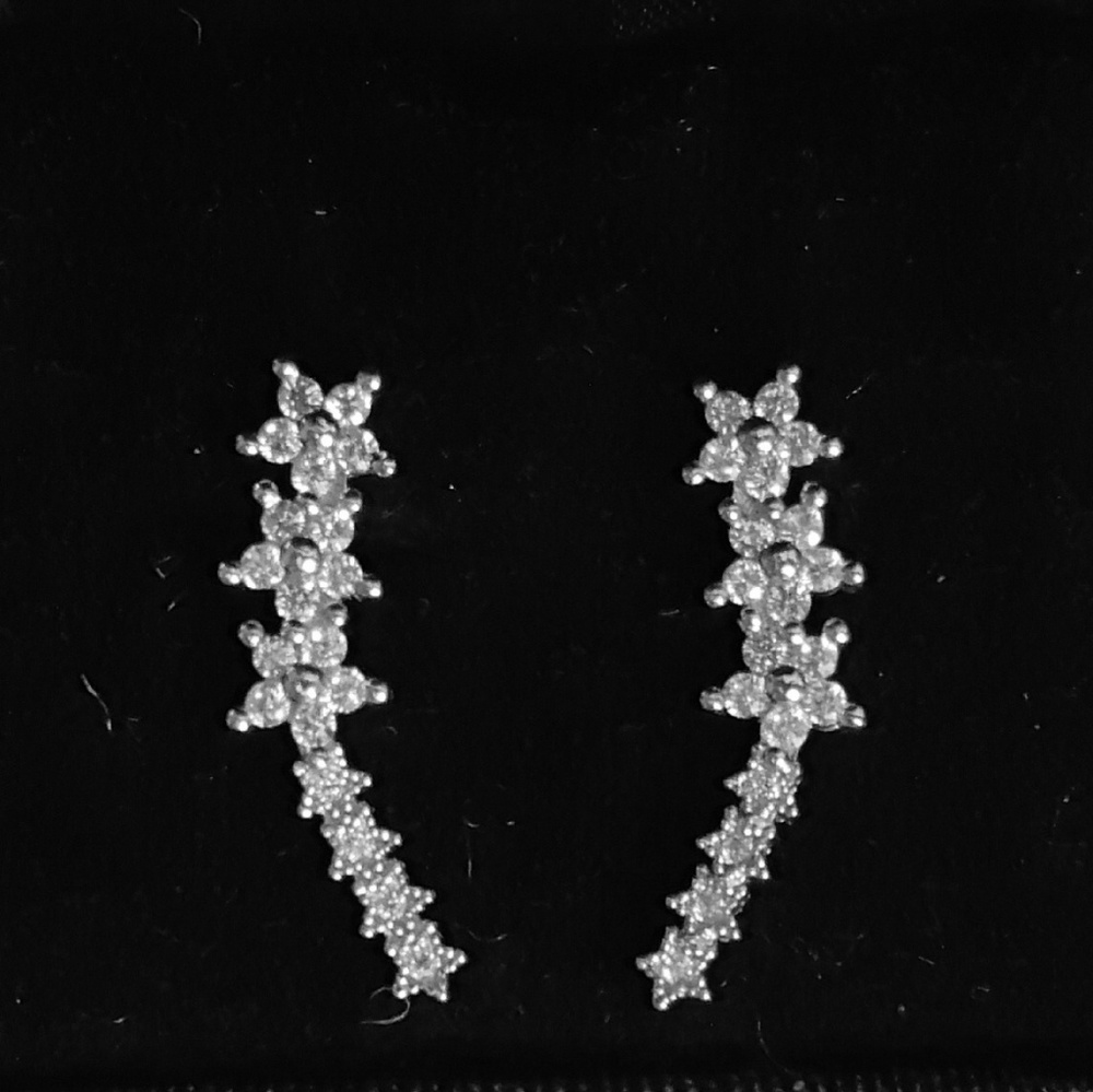 Climbing Earrings